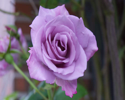 Bürgertreff Im Wave